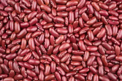 kidney beans
