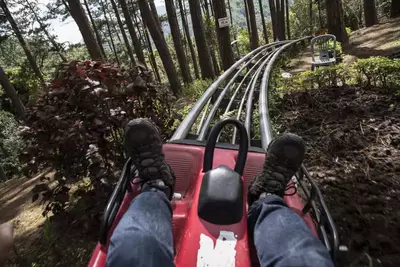 mountain coaster in the Smoky Mountains