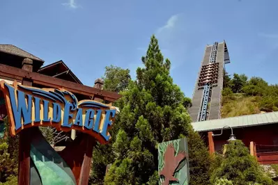 the wild eagle roller coasters at dollywood theme park