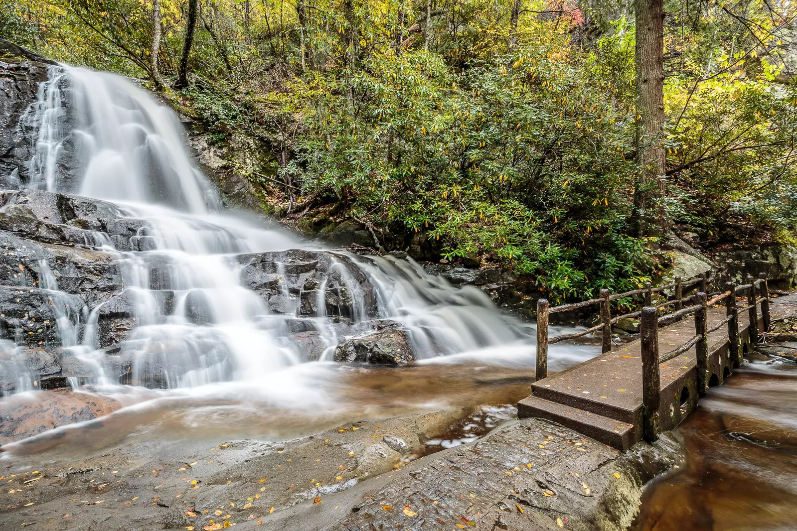 SMOKY BEAR'S RETREAT