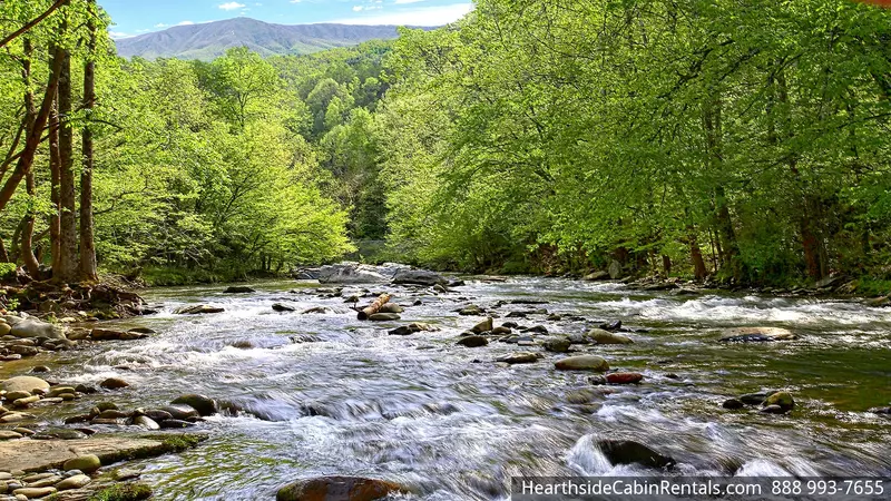 SMOKY BEAR'S RETREAT