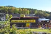 Goats on the Roof is one of the most unique things to do in Pigeon Forge
