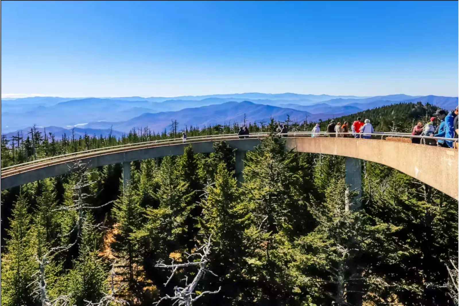 LECONTE VIEW MANOR