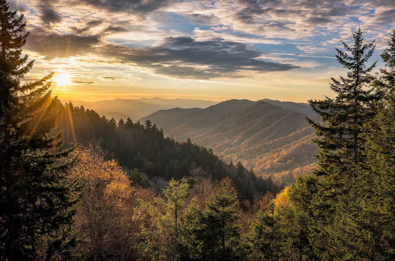 LECONTE VIEW MANOR