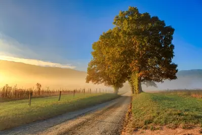 traveling Cades Cove Loop Road is one of the best free things to do in the Smokies