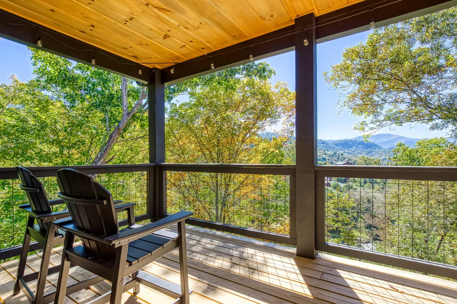 WANDERIN' BEAR LODGE